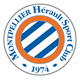 Montpellier Hrault Sports Club