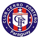 Escudo de Cerro Porteo PF