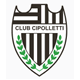 Escudo de Cipolletti