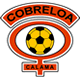 Escudo de Cobreloa