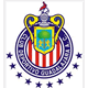 Escudo de Chivas Coras Tepic